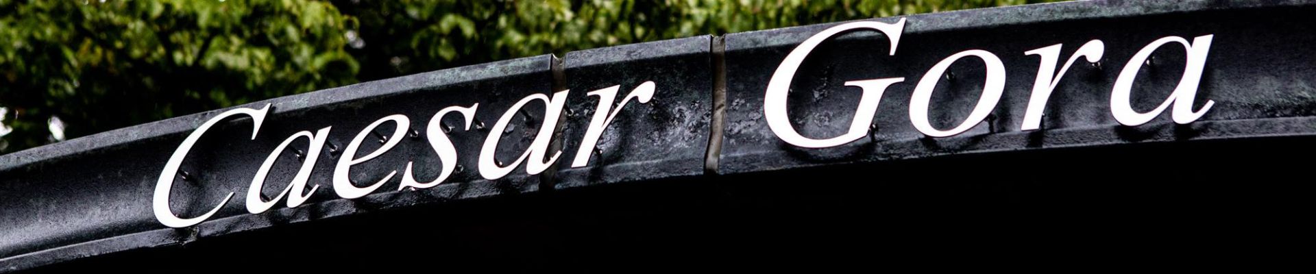 banner01
