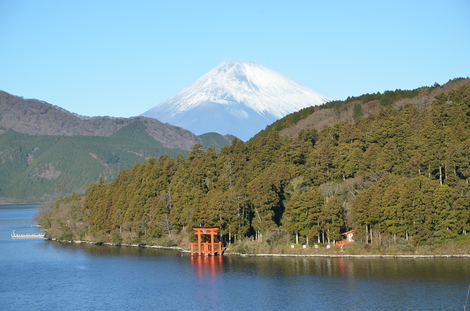 成川美術館